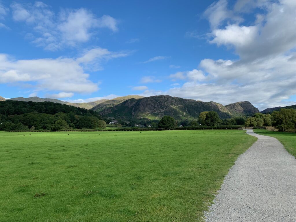 Coniston Park Coppice Review