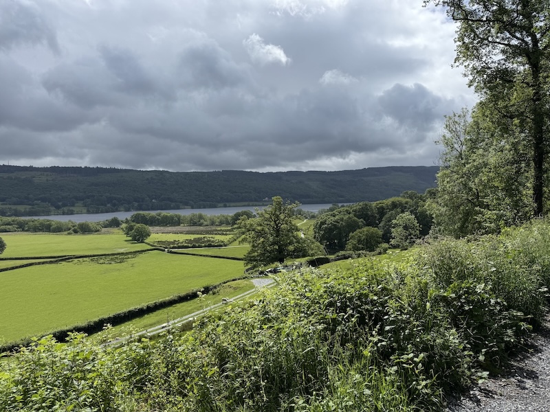 coniston park coppice